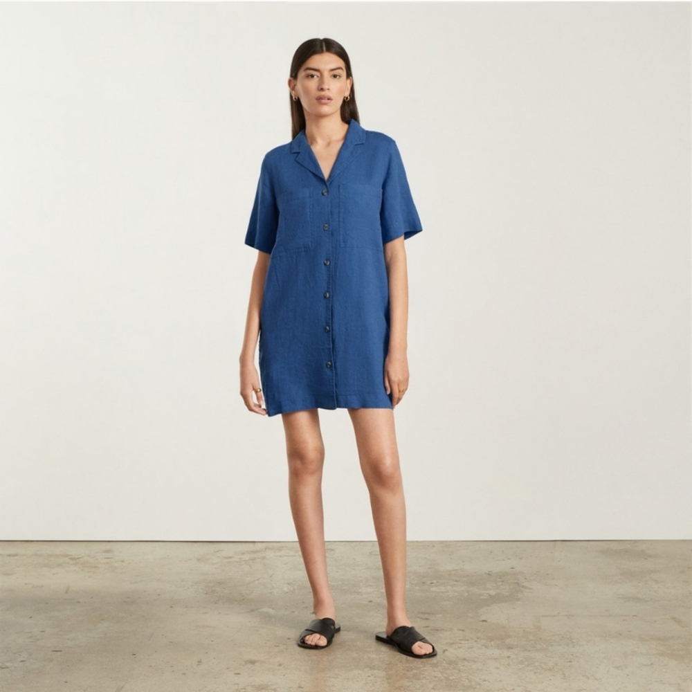 Blue Button-Up Women's Dress everlane
